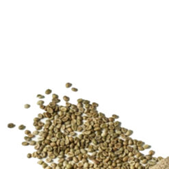 Robusta S18-2%
