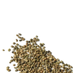 Robusta R2-5%