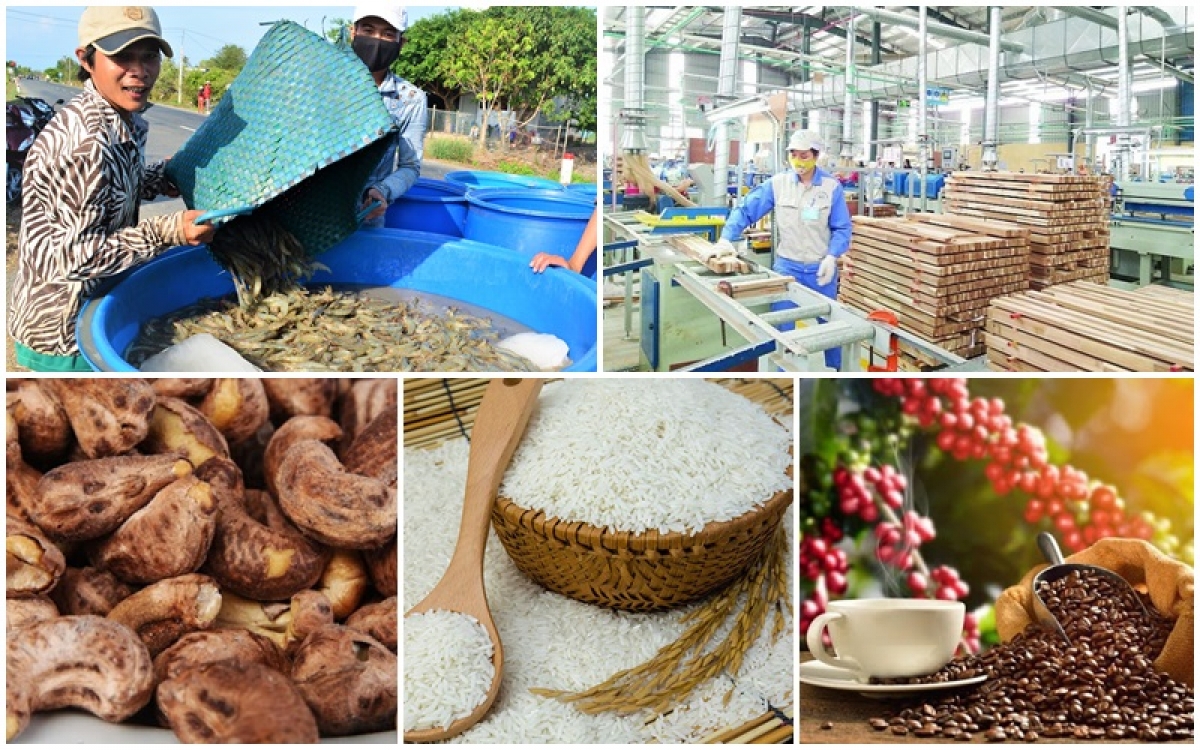 Kinh nghiệm của Thái Lan, Ấn Độ về xuất khẩu nông sản trong điều kiện thực hiện hiệp định thương mại tự do