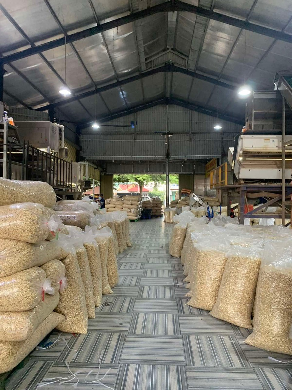 Cashew nuts from Ivory Coast poured heavily into Vietnam, HSV has a great advantage when it comes to having a large-scale factory