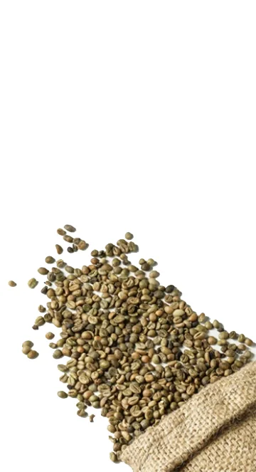 Robusta R2-5%