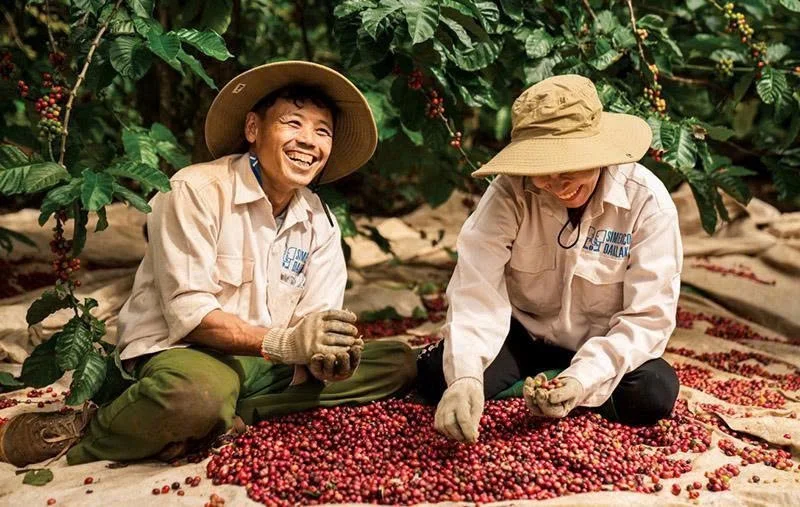 Kinh doanh nông sản – thương mại cà phê